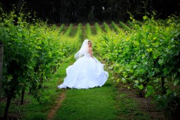 wedding_forest_edge18