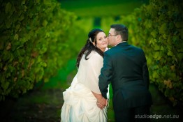 wedding_lindenderry_winery12